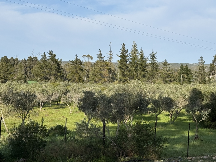 0 Bedroom Property for Sale in Stilbaai Rural Western Cape